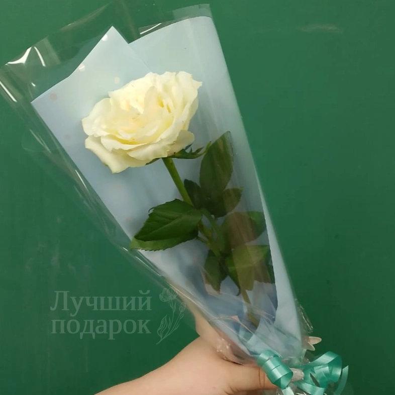 Белая роза &laquo;Одинокий цветок&raquo;