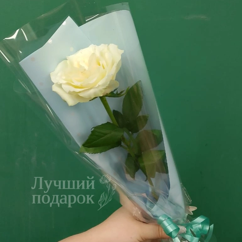 Белая роза &laquo;Одинокий цветок&raquo;