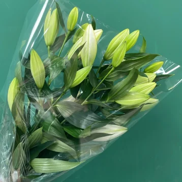 Букет «Лилия»