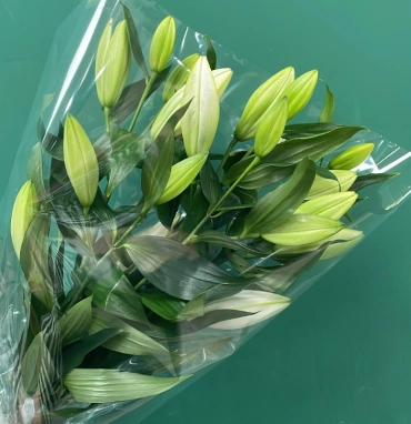 Букет «Лилия»