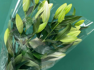 Букет «Лилия»