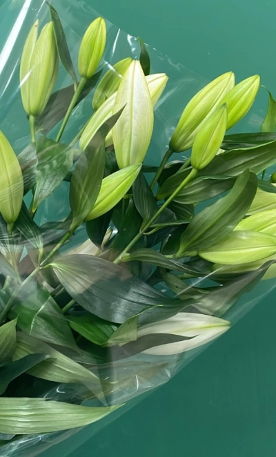 Букет «Лилия»