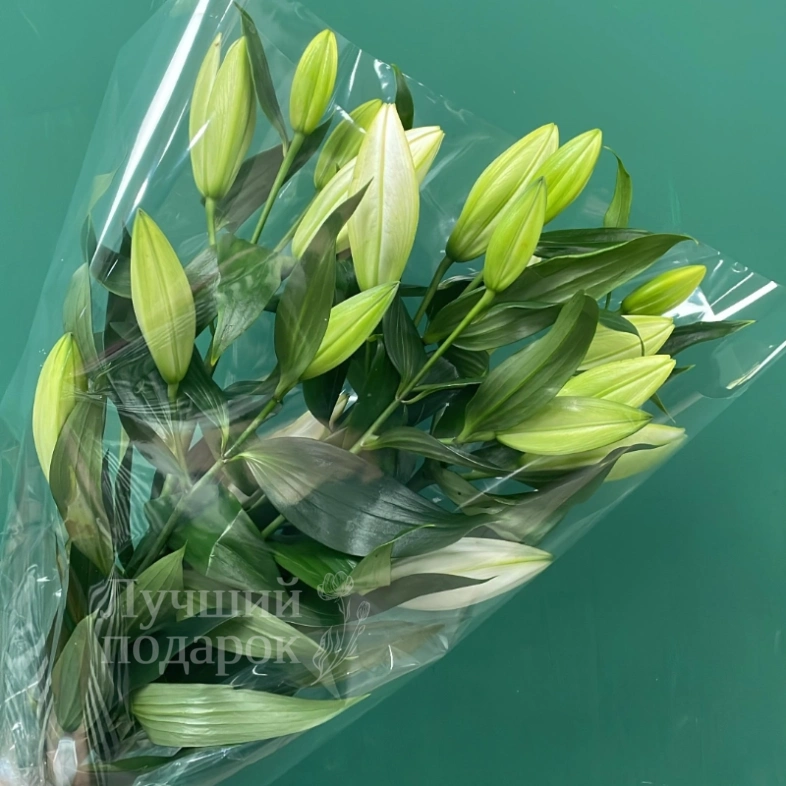 Букет &laquo;Лилия&raquo;