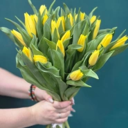 Букет из тюльпанов &laquo;Мартовский бум&raquo; 1
