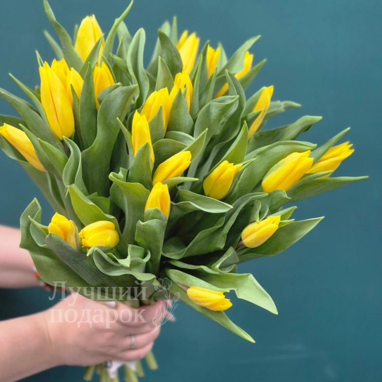 Букет из тюльпанов &laquo;Мартовский бум&raquo;