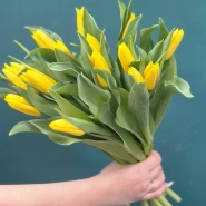 Букет из тюльпанов &laquo;Капель&raquo; 4