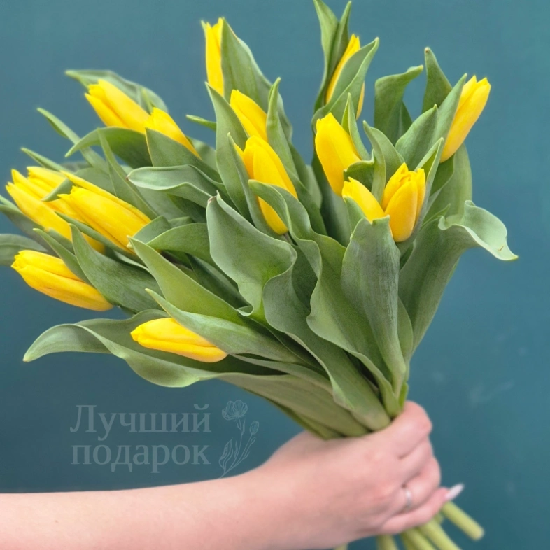Букет из тюльпанов &laquo;Капель&raquo;