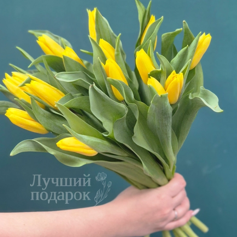 Букет из тюльпанов &laquo;Капель&raquo;
