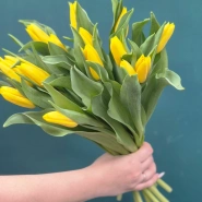 Букет из тюльпанов &laquo;Капель&raquo; 1