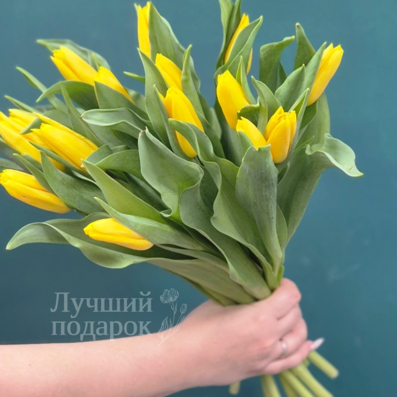 Букет из тюльпанов &laquo;Капель&raquo;