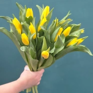 Букет из тюльпанов &laquo;Капель&raquo; 3
