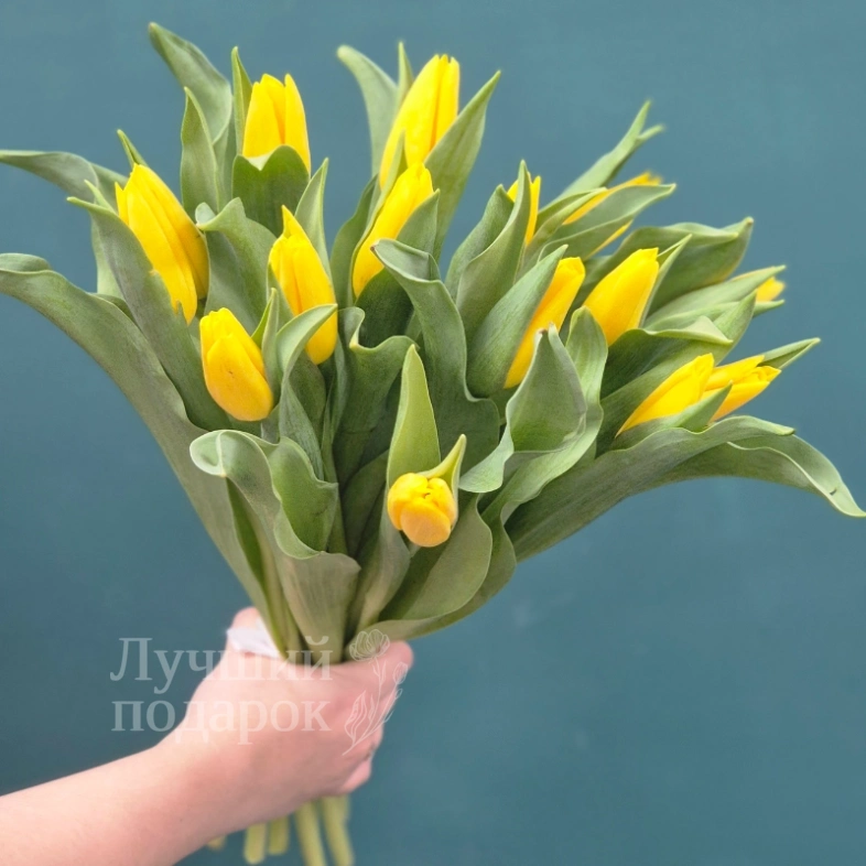 Букет из тюльпанов &laquo;Капель&raquo;