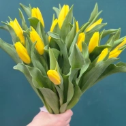 Букет из тюльпанов &laquo;Капель&raquo; 2