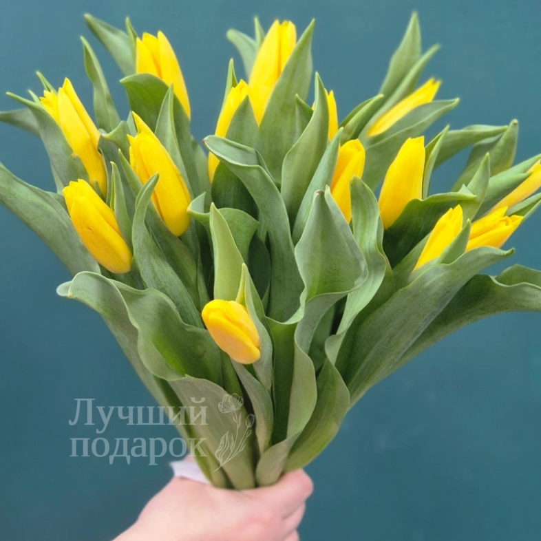 Букет из тюльпанов &laquo;Капель&raquo;