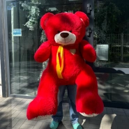 Мягкая игрушка &laquo;Красный медведь&raquo; 0