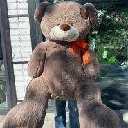 Мягкая игрушка &laquo;Коричневый медведь&raquo; 0