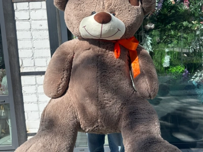 Мягкая игрушка «Коричневый медведь»