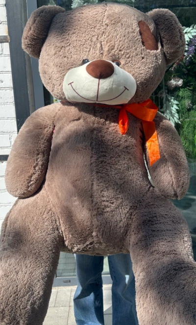 Мягкая игрушка «Коричневый медведь»