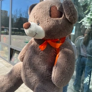 Мягкая игрушка &laquo;Коричневый медведь&raquo; 2