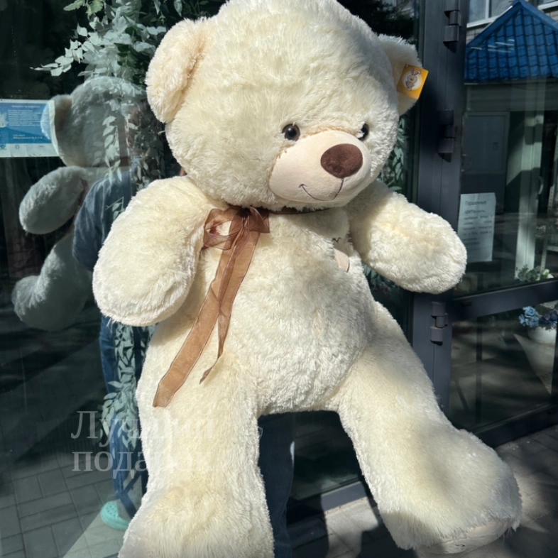 Медвежонок