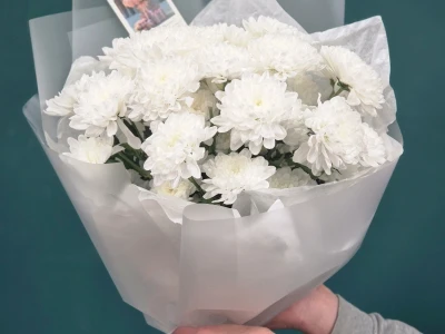 Букет из хризантемы «Белое золото»